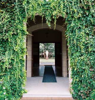 CCherub's profile picture. Academic retired