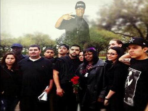 Domino4life