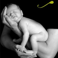 Androferti (@androferti) 's Twitter Profile