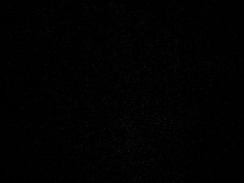 savior179 Profile Picture