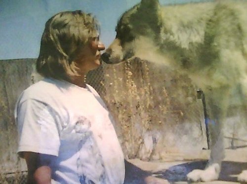 spiritseeker71's profile picture. Married. Pro constitution. Constitution is ment to limit the government not the people. MAGA.