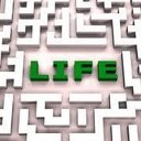 Therese Meyer - @ThereseMeyer - Twitter