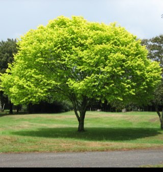 EnviroManual's profile picture. Save the planet! Be environmentally aware. 
Plus, way to keep your life environmentally friendly. 

EMAIL: enviromanual@gmail.com