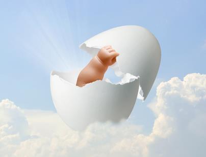 The team behind BSC have been involved in surrogacy and egg donation since 1994.