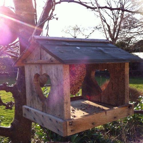 CathyFurniture's profile picture. Maker and designer of contemporary country furniture for homes that require practical interiors and usefull, quility, hand crafted, home grown products.