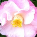 Sherry Walker - @slvwalker - Twitter