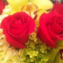 Deanna Boss - @coppermama1 - Twitter