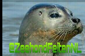 Beheerders: @joeyfsc en @MR046_