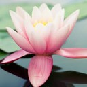 Sarah Predmore - @PredmoreSarah - Twitter