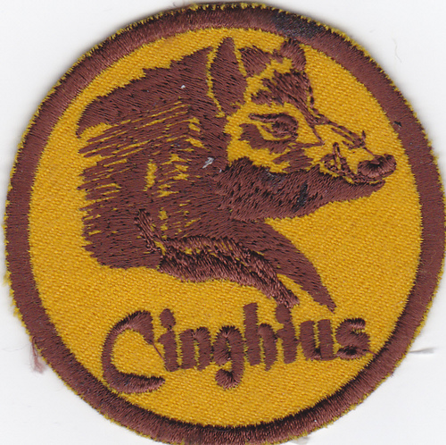 CINGHIUS_SAT's profile picture. Associazione Sportiva Dilentantistica Praticante il Soft Air a Rocca d'Arazzo - Asti ed affiliata al CSAP e Circuito Nazionale PCS