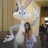 natalia_rojasv's profile image