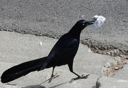 alanataylor940's profile picture. 