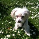 Maria Bagi - @autmb - Twitter