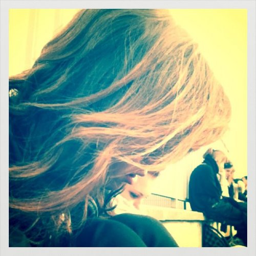 PowGreen's profile picture. 