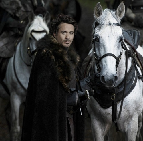 A genius, playboy, billionaire, philanthropist. If I can't save the Winterfell, I'll avenge it!