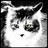 mayora75's profile image