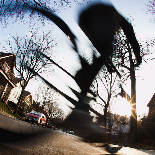 pdiantoni's profile picture. Freelance photographer, cyclist, skateboarder, electric cargo bicycles. Riverwest 53212 resident.