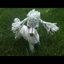 Sara Schoenbeck - @happygirl64 - Twitter