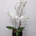 Sandy Martz - @sandymariolla - Twitter