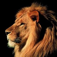 Westlake Lions FB (@westlaketdclub) 's Twitter Profile