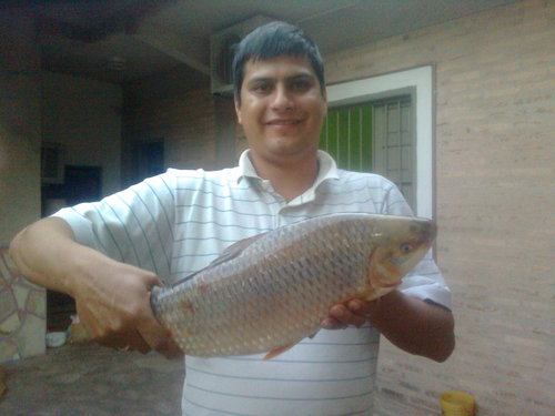 Prof. de Ciencias Sociales