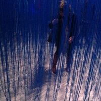 elena gorfinkel (@cinemiasma) 's Twitter Profile