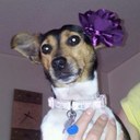 Catherine webster - @CatherineLee6 - Twitter