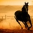 أصيل (@n_al7rbi) Twitter profile photo