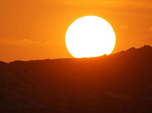 derhaly's profile picture. ان اكرمت الكريم ملكته وان اكرمت اللئبم تمردا