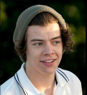 Harry Niall Liam Louis Zayn are my life. I love the Janoskians! I follow back :) xo p.s follow my account @SarStylinson41D