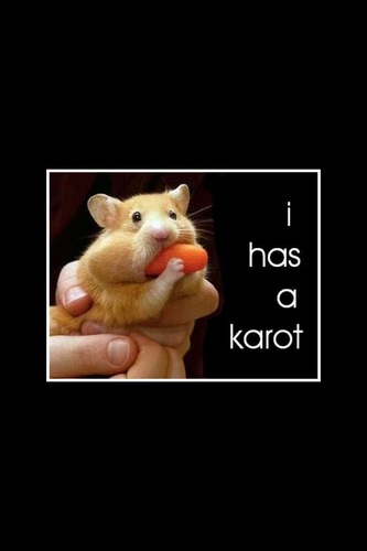 orangekiller123's profile picture. u don't have to change to be perfect just be yourself