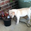 jordan epp - @jordan_epp - Twitter