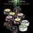 CBIncense's profile image