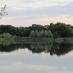 Billingford Lakes (@billingfordlake) Twitter profile photo