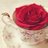  عاشق المطلقات  (@ssaud717724) Twitter profile photo