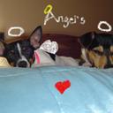 eric randle - @pupler93 - Twitter