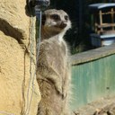 JAMIE TONKIN - @messi601 - Twitter