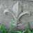 cdottwit's avatar