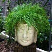 瑛子 (@sleep_sweet) 's Twitter Profile