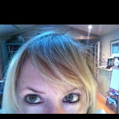 ErinLEhrlich's profile picture. tv writer/director Crazy Ex-Girlfriend,Awkward, King of the Hill and some other stuff