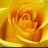 cbran59's profile image