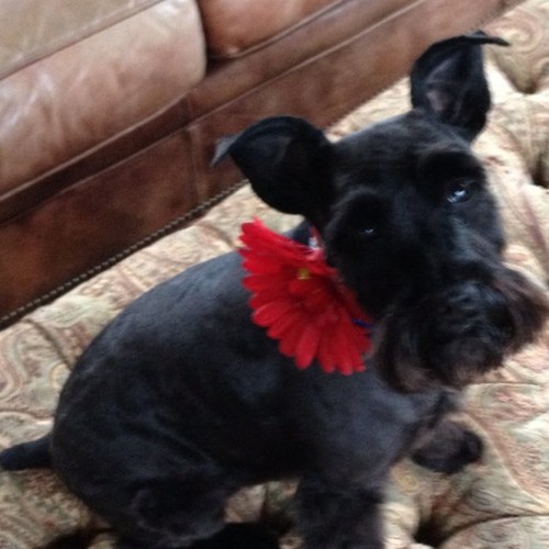 miller_kayleen's profile picture. 