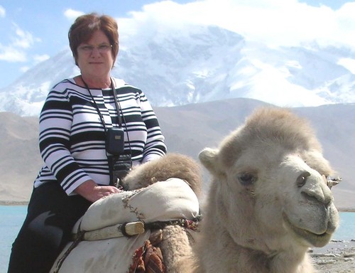 pigsnie's profile picture. piano teacher & wannabe sculptor and potter