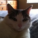 Holly Millar  - @monkeygrin12 - Twitter