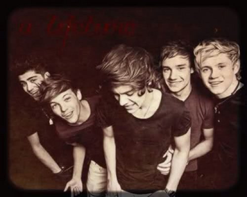 1D_fangirlsNZ's profile picture. insert witty sexual comment about one direction here so that you will follow us ;) two girls supporting thos 5 flawless lads. we follow back directioners :)
