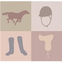 BaronEquestrian(@BaronEquestrian) 's Twitter Profile Photo