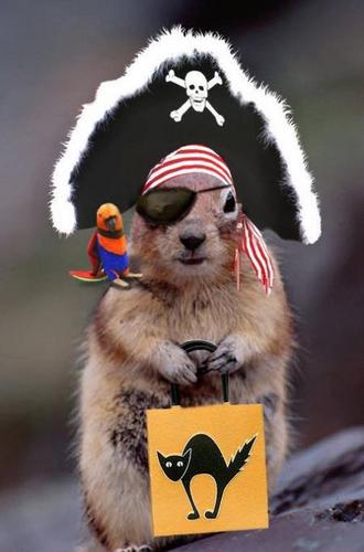 Arrgh there be spaghetti in the fridge
