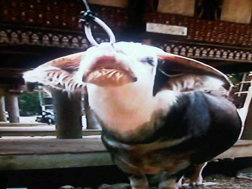 iwan_suganda's profile picture. 