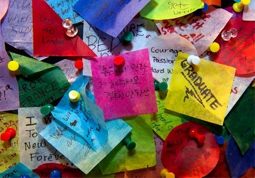 modelsoon's profile picture. .