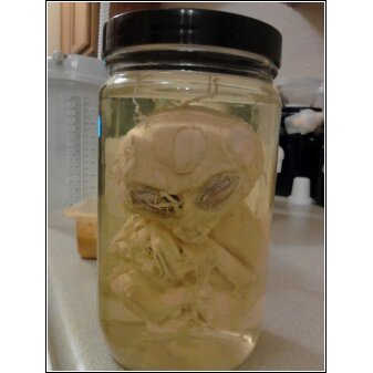 Owner of the Baby Alien in a Jar from the History Channel's Cajun Pawn Stars (Episode 1, Season 1)
